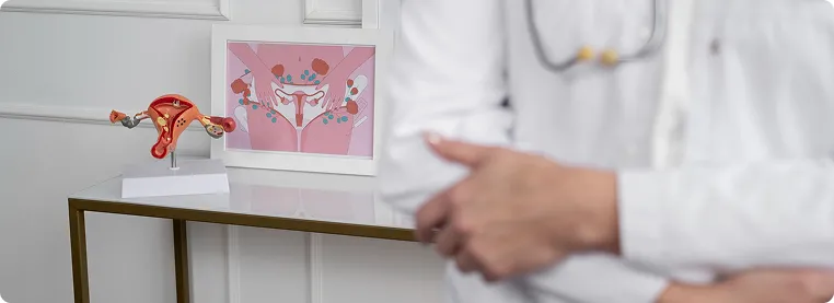 Evidence, Experience and Elegance: The Art of Managing Uterine Fibroids-banner