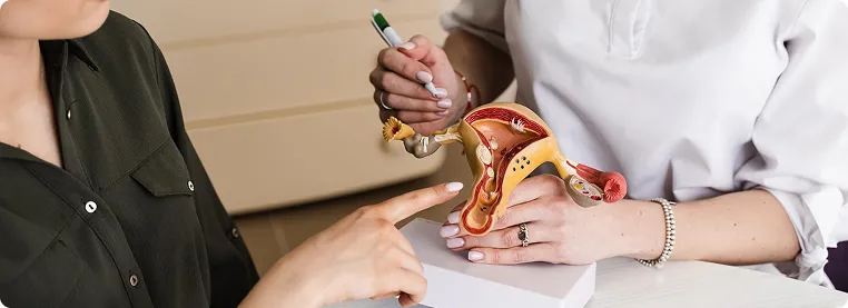 From CIN to Cervical Cancer: Current Guidelines in Screening, Prevention & Treatment-banner