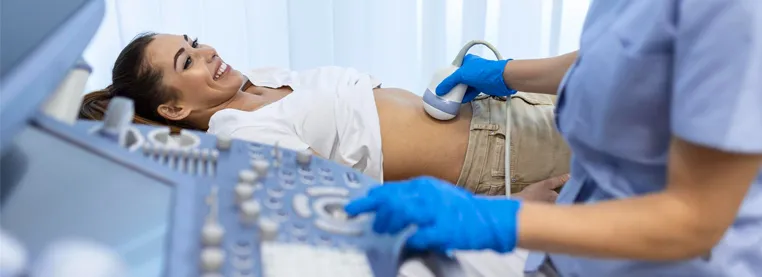 The Use of Pelvic Floor Ultrasound in Urogynecology-banner