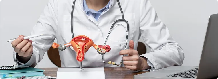 Endometrial Hyperplasia: Evidence Based Diagnose and Management-banner