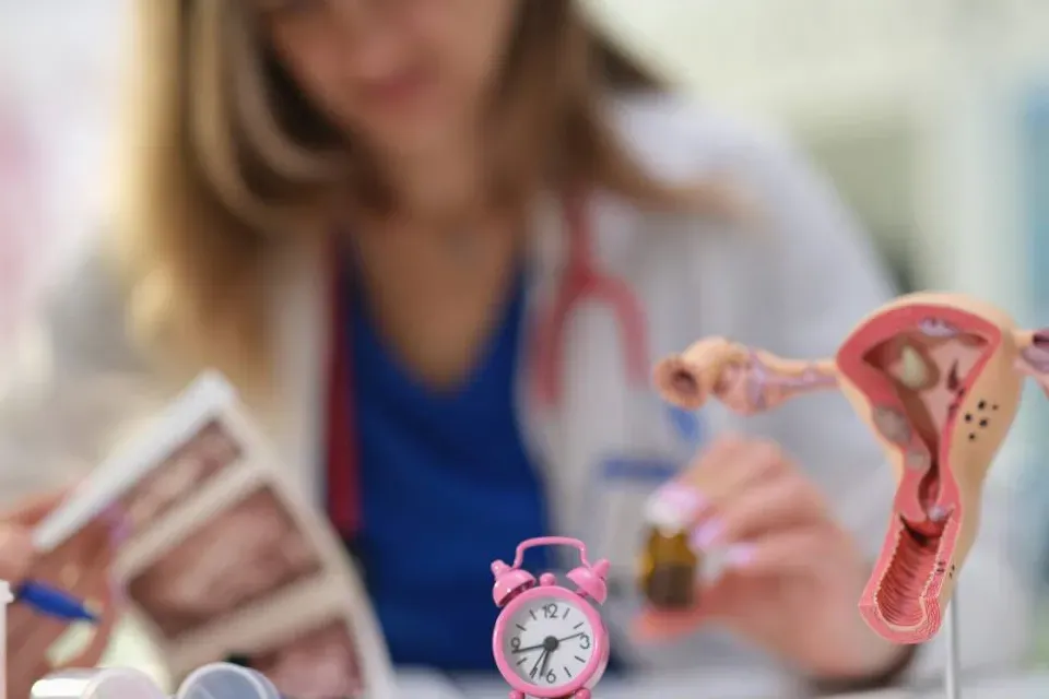 Latest Updates on Menopause Management-banner